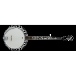 Ibanez B300 Banjo
